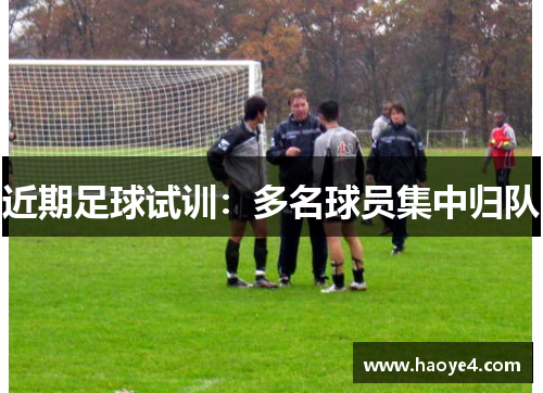 近期足球试训：多名球员集中归队